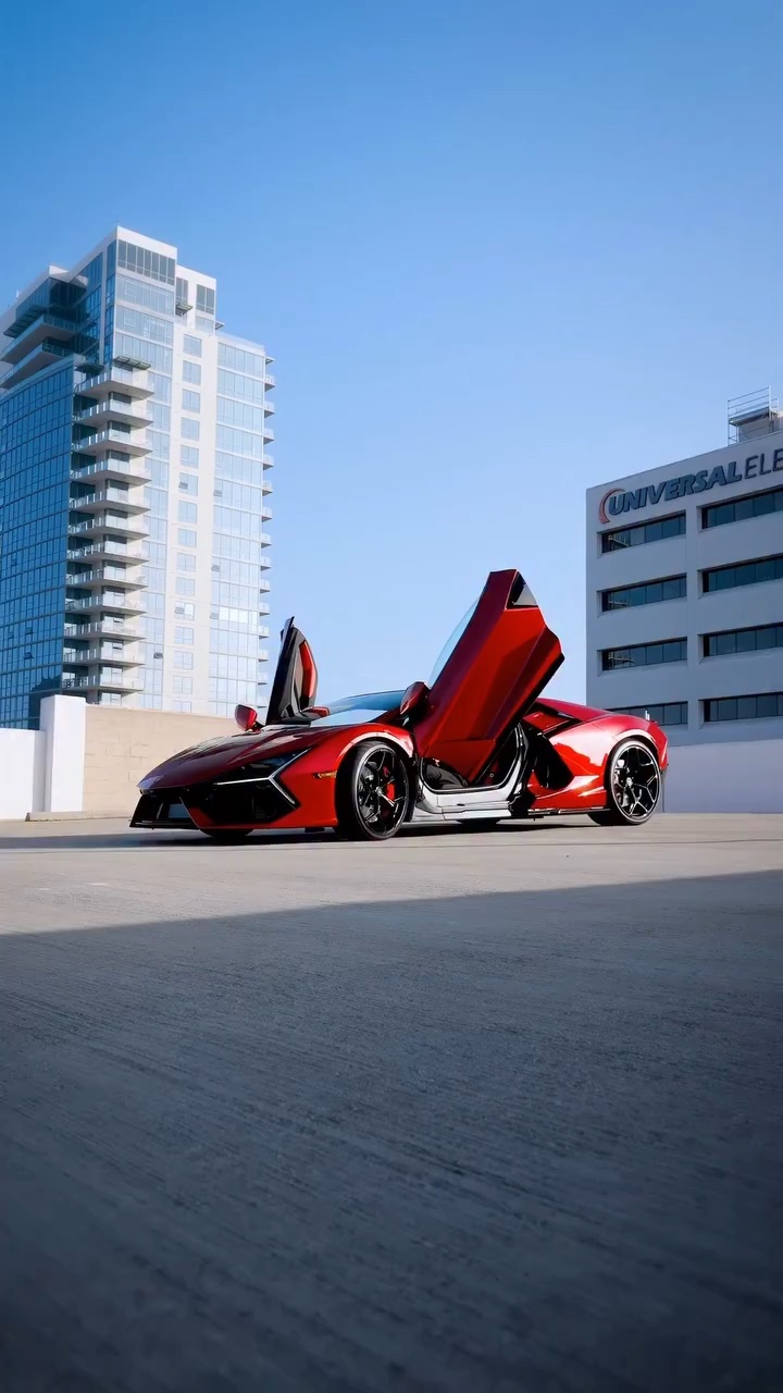 Black & Red Exotics